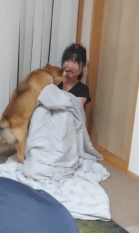 お嫁さん発見時のハルちゃん2