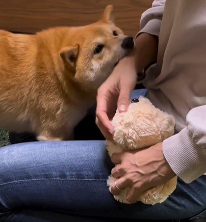 「僕の方をヨシヨシしてくれませんか」