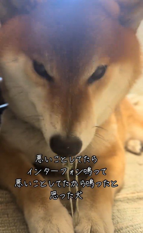 イタズラ中のぬん君5