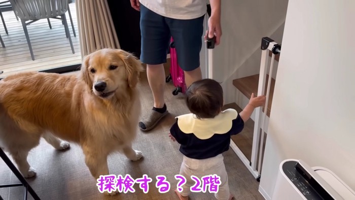 お部屋を散策