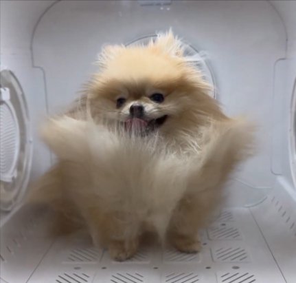 ドライルーム