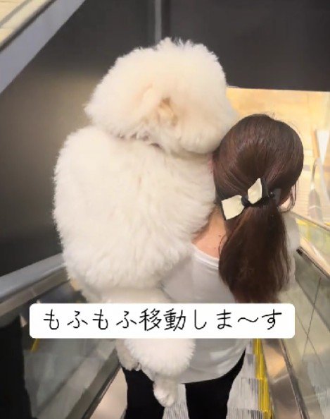 必ず抱っこ♡