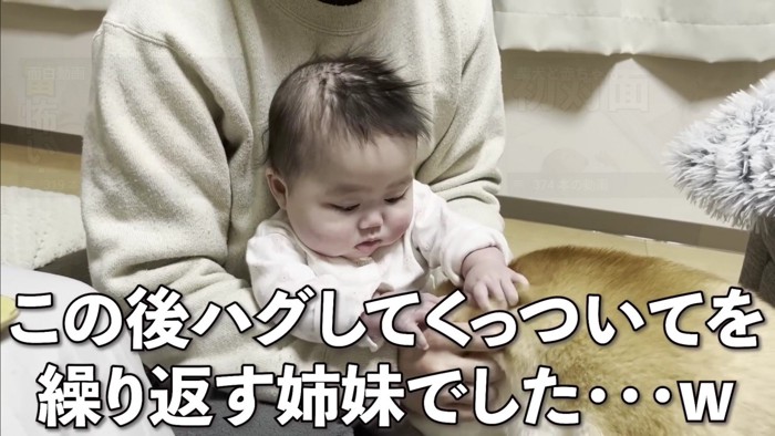 仲睦まじい姿にキュン
