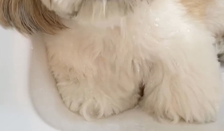ひんやり
