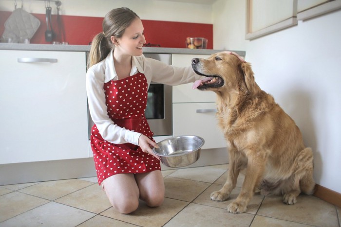 犬と女性