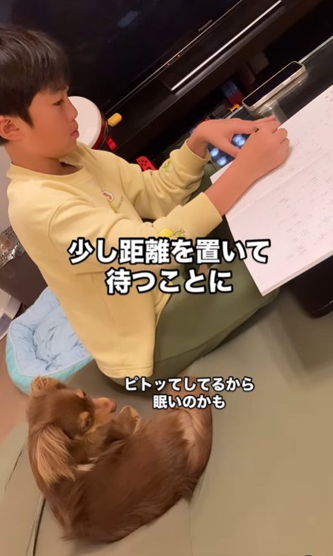 宿題中のお兄ちゃんとアムくん9