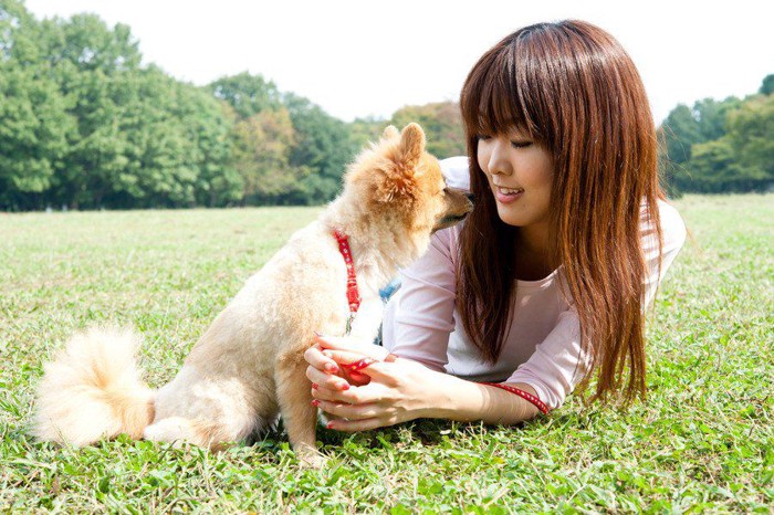 女性と小さな犬