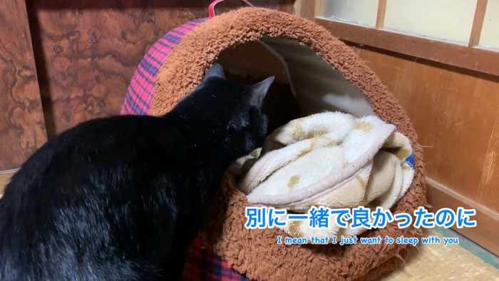 本当は一緒に入りたかった天くん