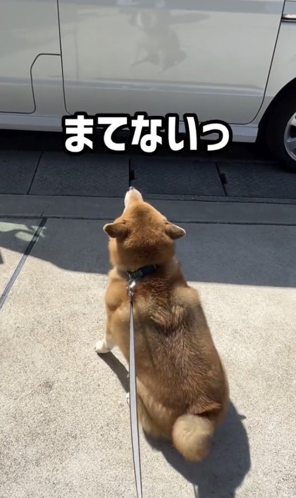 絶対に笑顔