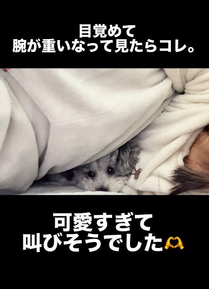 投稿主さんの腕枕で寝ていた♡