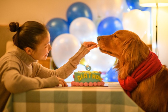 食べる犬と女性