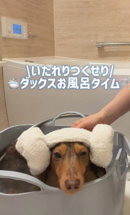 お風呂の時間