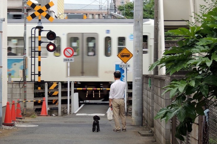 踏切で待つ犬と男性