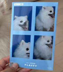 失敗