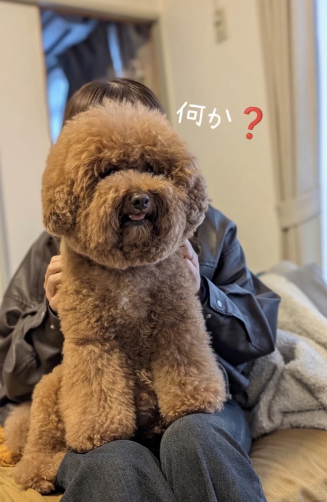 座る犬