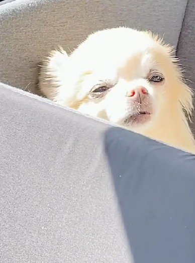 「眠たくなる～」