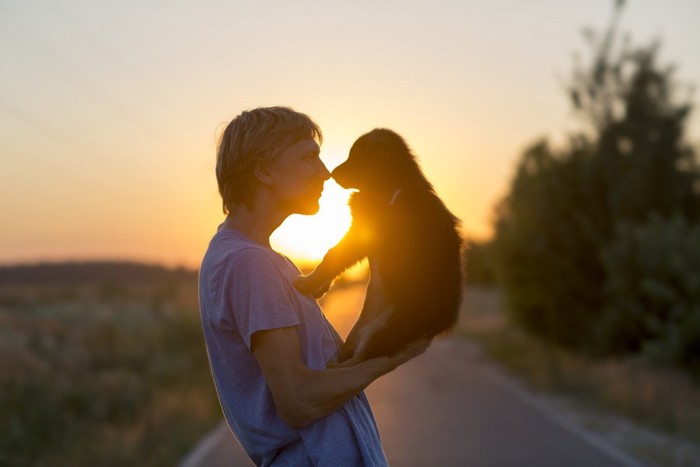 鼻と鼻を合わせる犬と飼い主