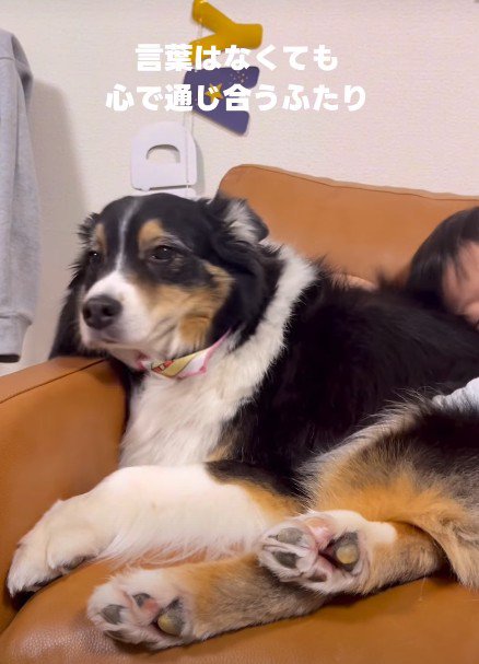 一緒に暮らす男の子が大好き