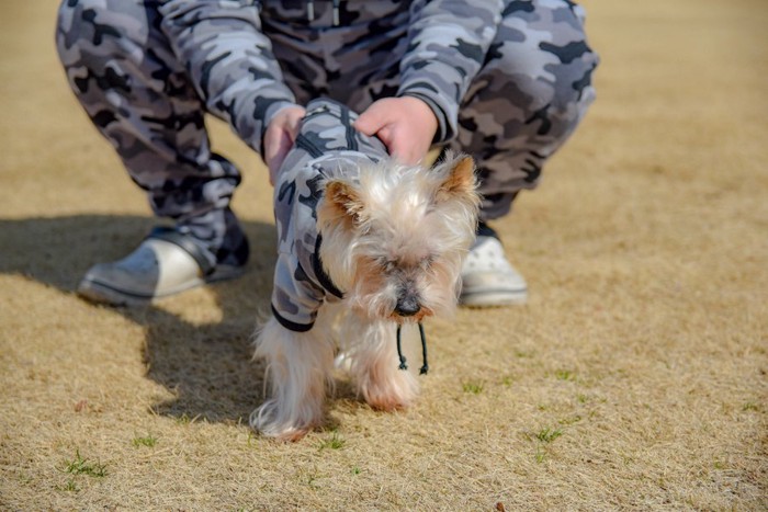 飼い主とペアルックの服をきた犬