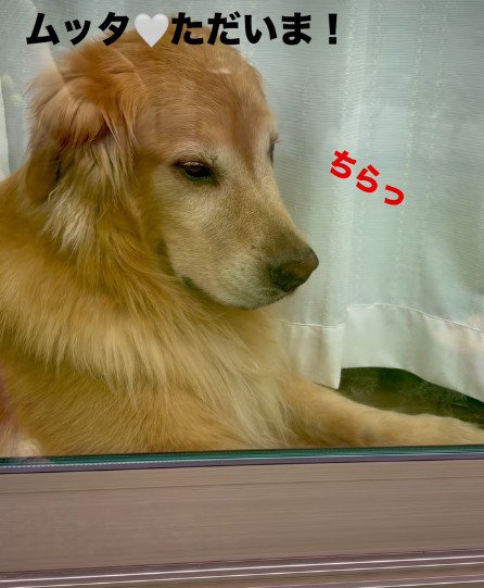 何度もチラ見