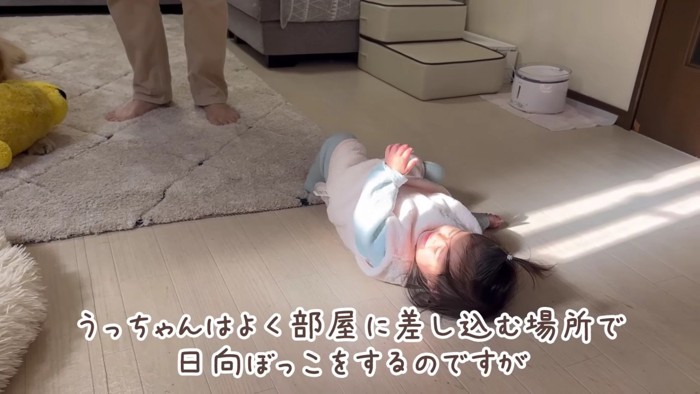 日向を発見したほのちゃん