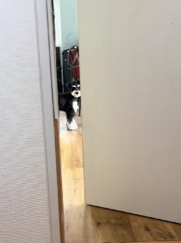 「元気になったかな?」