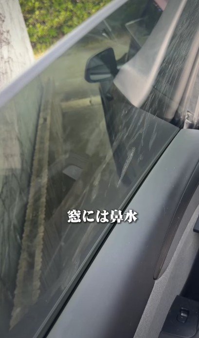 今では犬仕様に！！