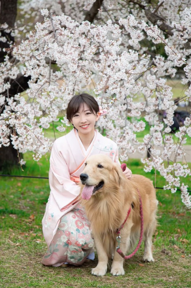 笑顔の大型犬