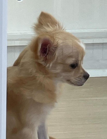 切ない表情に胸が痛む…