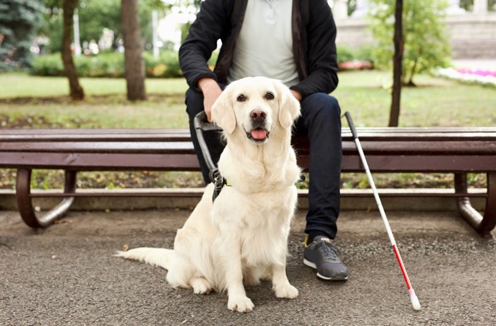 盲導犬と座っている利用者