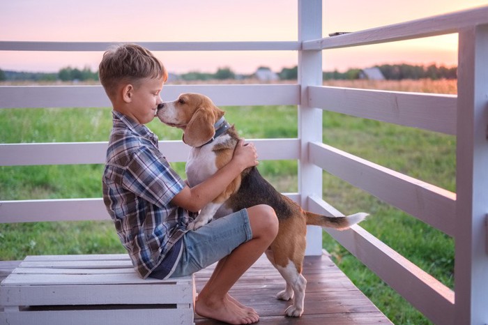 子どもの口を舐める犬