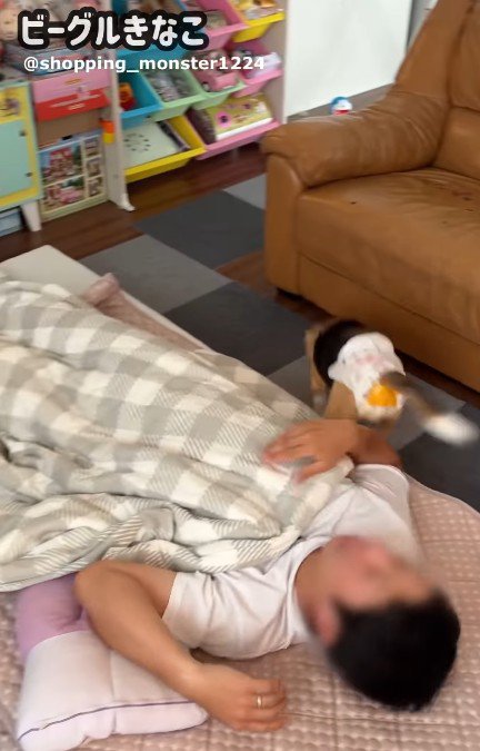 パパも思わず絶叫!?