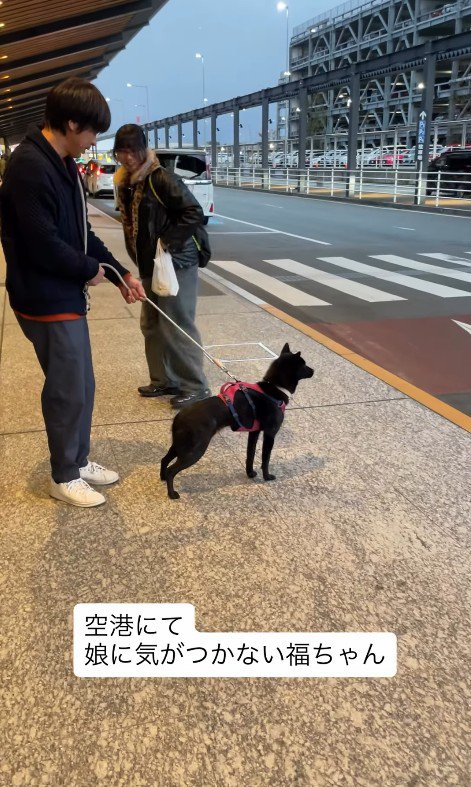 まさかのスルー!