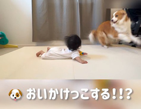 赤ちゃんを遊びに誘うまめ君5