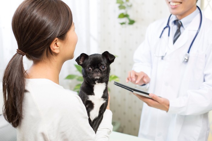 獣医師と話す飼い主と抱きかかえられている犬