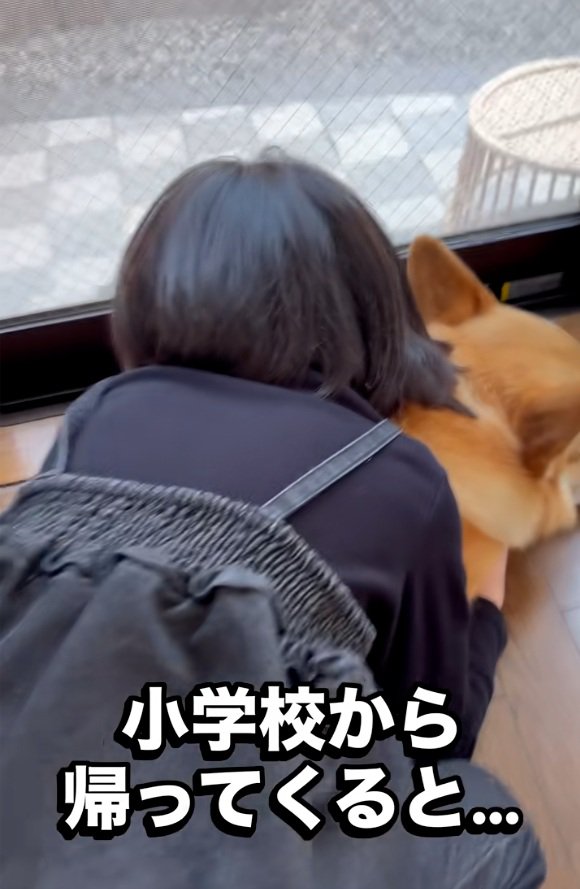 ジノくんに覆いかぶさるお姉ちゃん