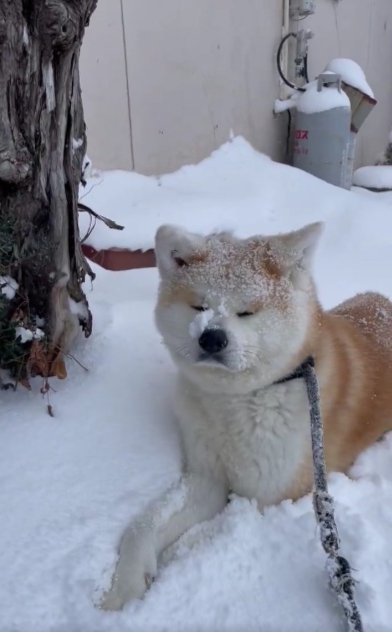 満足そうな表情