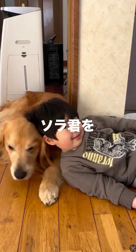男の子の下から移動しようとする犬