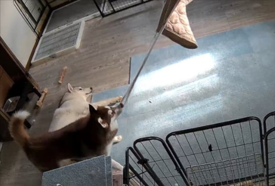 まさかのイタズラ