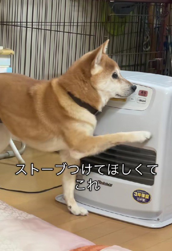 「ストーブついてないよ」