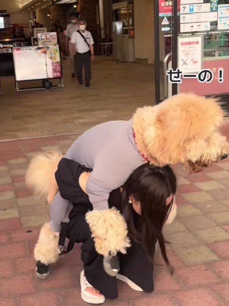 「せーの!!」