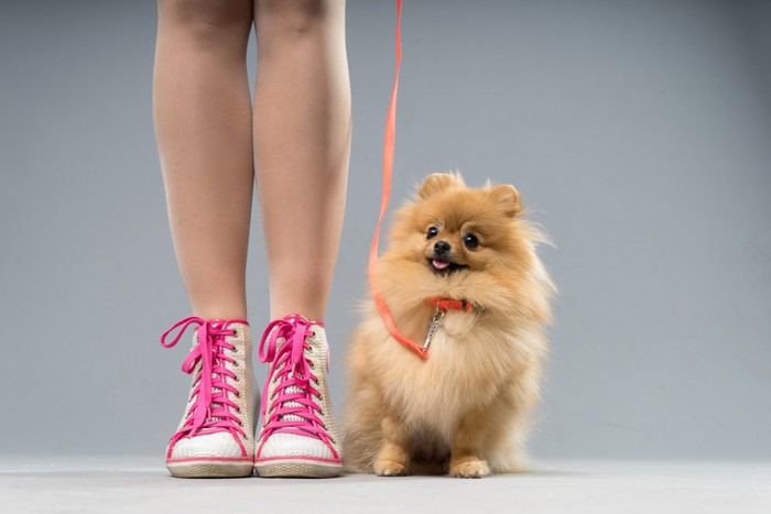 女性と小型犬