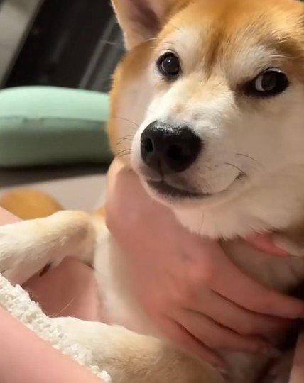 「もう怒ってないかな？」
