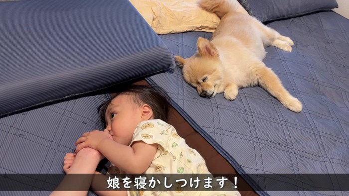 赤ちゃんの寝る時間です