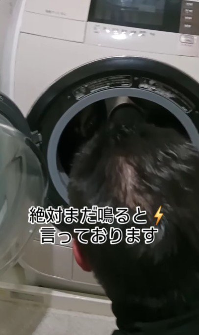出てこない！！
