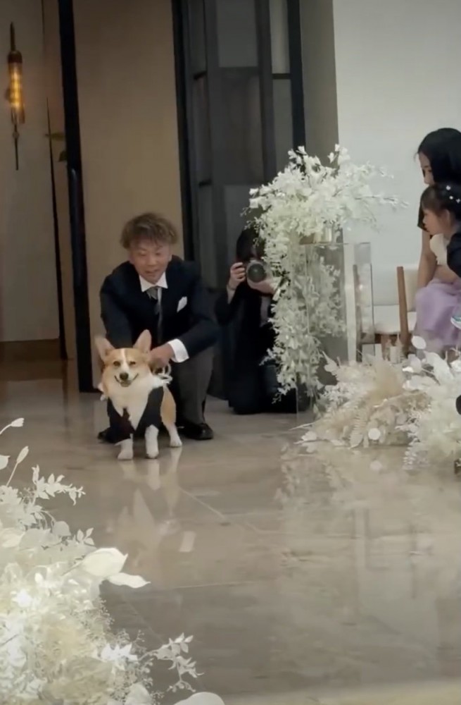 リードを外してもらい…