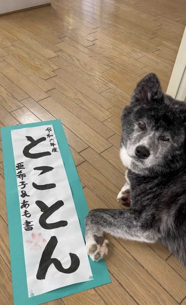 習字と犬