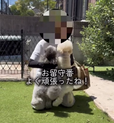 並んで撫でてもらう2匹