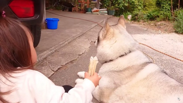 ガムを持つ子と犬の後姿