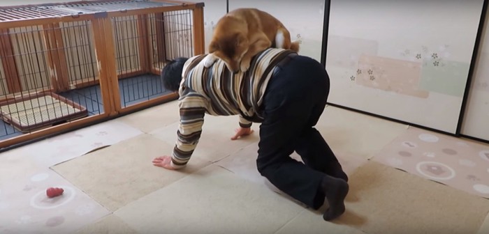 立ち上がろうとする飼い主さん